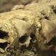 Imagen para el artículo titulado La torre que aterró a Hernán Cortés es real: hallan los restos de la mítica torre de las calaveras de Tenochtitlan